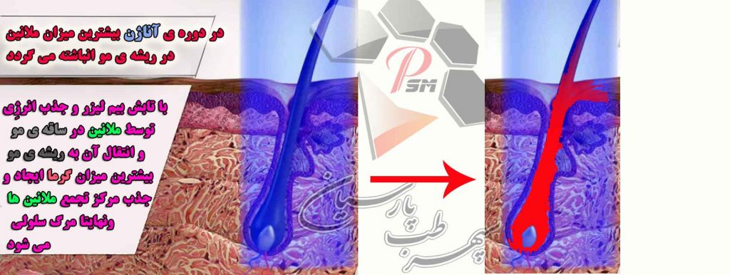 شرکت تجهیزات پزشکی سپهر طب پارسیان